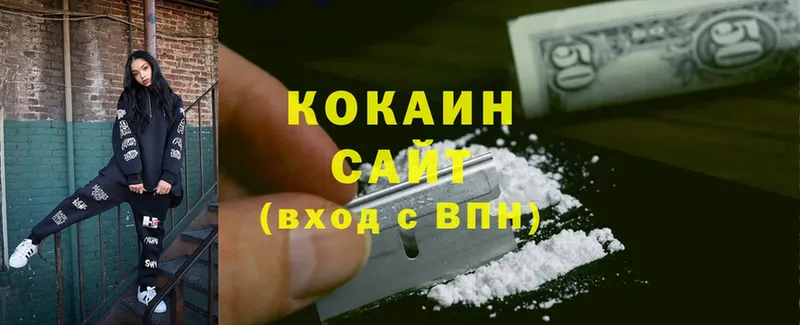 Cocaine FishScale  кракен tor  Бородино 